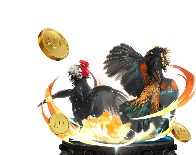 Nền tảng đá gà Thomo uy tín A