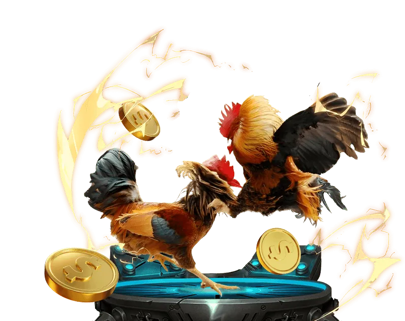 Hệ thống bảo mật an toàn của nền tảng đá gà thomo trực